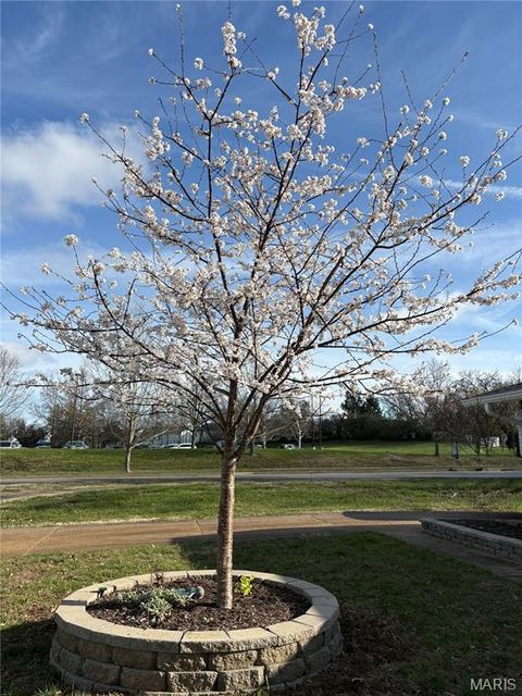 Tiny photo for 1204 Cedar Creek Road, Chesterfield, MO 63017 (MLS # 26016463)