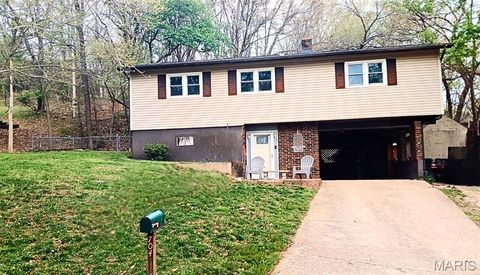 Photo of 704 Madison Street, Waynesville, MO 65583 (MLS # 26002556)