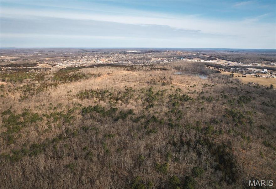 Tract 2 - This remarkable 120 +/- acre all-timber tract sits just minutes from Potosi, MO, offering an exceptional combination of seclusion, natural beauty, and long-term potential. The landscape features gently rolling terrain, mature hardwood ridges, and a layout that lends itself perfectly to multiple build sites. A healthy stand of marketable timber provides immediate income opportunities for the next owner.
Access is provided from Mayo Lane, giving the property excellent positioning for future development or a private recreational retreat. Electric service is available at several locations along the boundary, making infrastructure planning straightforward and cost-effective.
Whether your vision includes a quiet weekend escape, a legacy property to enjoy for generations, or an investment with strong development upside, this versatile tract delivers the setting and potential to bring it to life.  An additional 120 +/- acre tract - Tract 1 is available as well.  Call today to schedule a private showing!