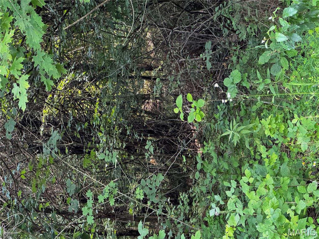 Eagles View Estates Four - Land