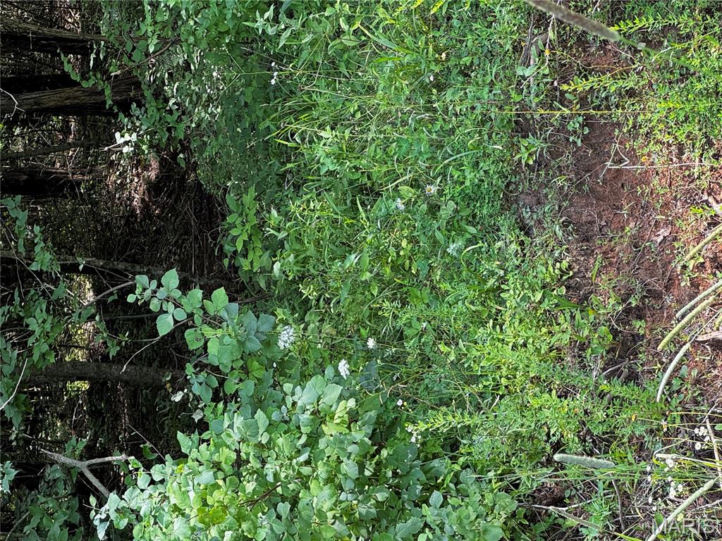 Eagles View Estates Four - Land