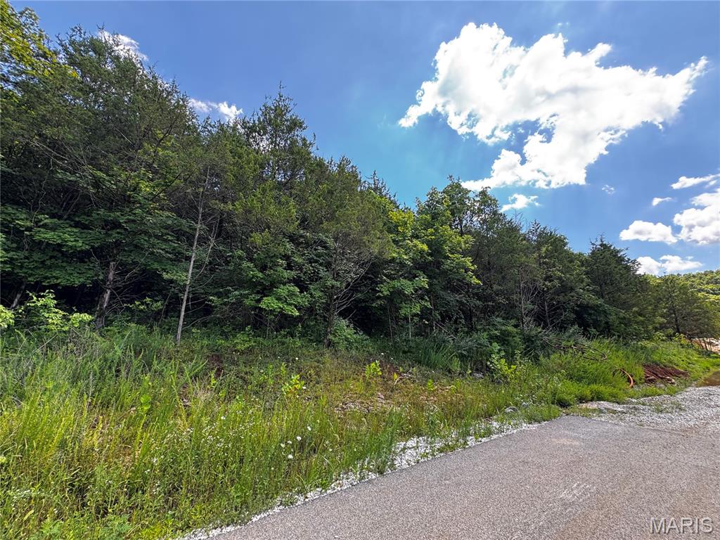 Eagles View Estates Four - Land