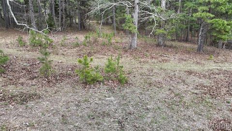 Tiny photo for TBD County Road B - Carter 256, Ellsinore, MO 63937 (MLS # 26018993)