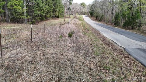 Tiny photo for TBD County Road B - Carter 256, Ellsinore, MO 63937 (MLS # 26018993)