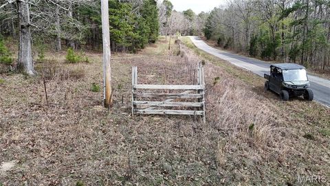 Tiny photo for TBD County Road B - Carter 256, Ellsinore, MO 63937 (MLS # 26018993)