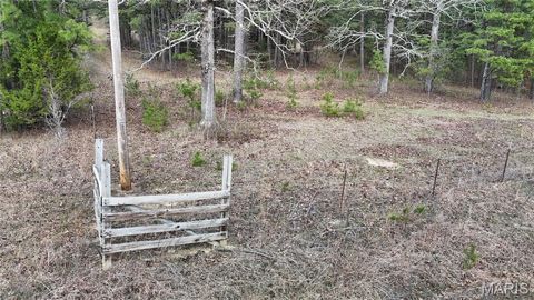 Tiny photo for TBD County Road B - Carter 256, Ellsinore, MO 63937 (MLS # 26018993)