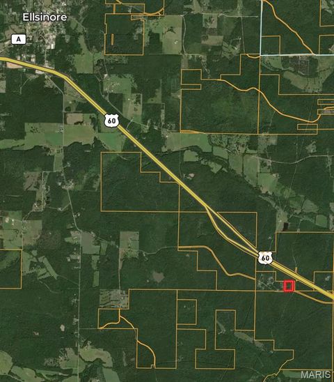 Tiny photo for TBD County Road B - Carter 256, Ellsinore, MO 63937 (MLS # 26018993)