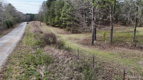 Tiny photo for TBD County Road B - Carter 256, Ellsinore, MO 63937 (MLS # 26018993)