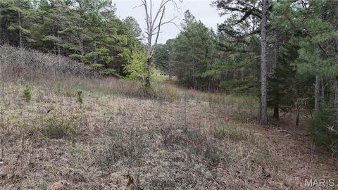 Tiny photo for TBD County Road B - Carter 256, Ellsinore, MO 63937 (MLS # 26018993)