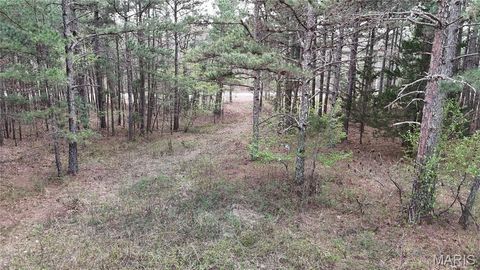 Tiny photo for TBD County Road B - Carter 256, Ellsinore, MO 63937 (MLS # 26018993)