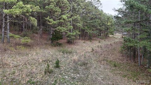 Tiny photo for TBD County Road B - Carter 256, Ellsinore, MO 63937 (MLS # 26018993)