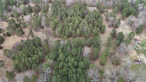 Tiny photo for TBD County Road B - Carter 256, Ellsinore, MO 63937 (MLS # 26018993)