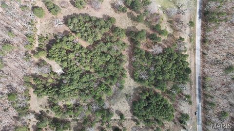 Tiny photo for TBD County Road B - Carter 256, Ellsinore, MO 63937 (MLS # 26018993)