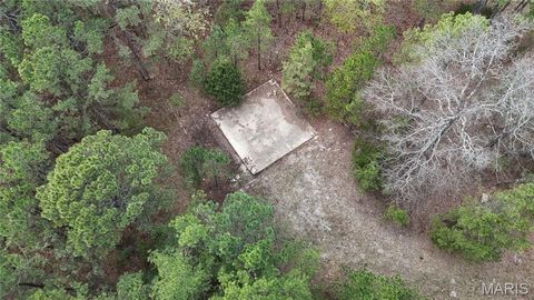 Tiny photo for TBD County Road B - Carter 256, Ellsinore, MO 63937 (MLS # 26018993)