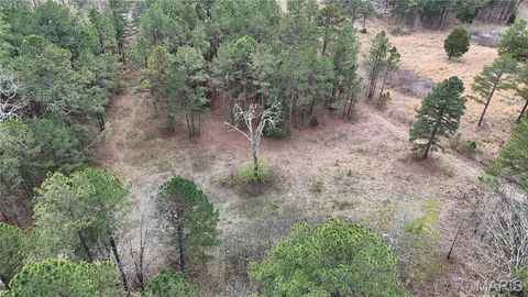 Tiny photo for TBD County Road B - Carter 256, Ellsinore, MO 63937 (MLS # 26018993)