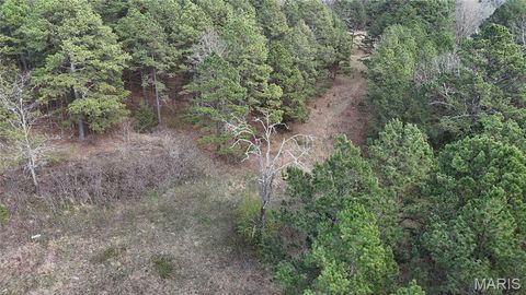 Tiny photo for TBD County Road B - Carter 256, Ellsinore, MO 63937 (MLS # 26018993)
