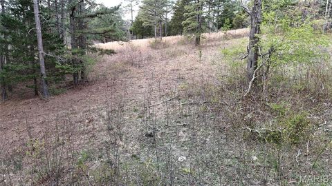 Tiny photo for TBD County Road B - Carter 256, Ellsinore, MO 63937 (MLS # 26018993)
