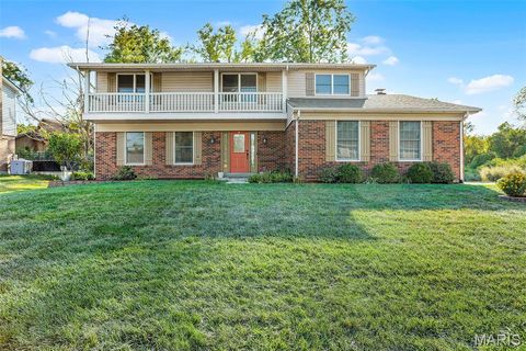 Photo of 485 Meadow Green Place, Creve Coeur, MO 63141 (MLS # 25069691)
