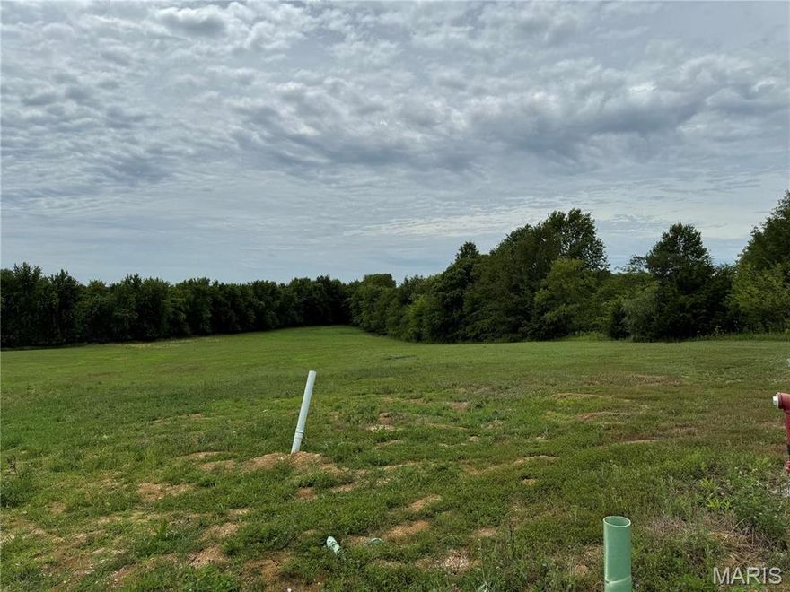 This is your chance to build your dream home and secure your slice of the American dream in a serene, picturesque setting. Discover the perfect 3.67-acre parcel in Old Monroe, nestled in the unincorporated area of Lincoln County. This prime location in a private cul-de-sac offers a homesite with private countryside views, ready for your custom builder and plans. Tree lined. All essential utilities, including gas, electric, water, and sewer, are available, and the property features concrete streets for easy access. Just Minutes from O'Fallon, St. Peters , Hwy 79  and 64 Corridor. House minimums:Ranch 1700, 2 sty: 2000 , Multi Levels:1200 sq ft