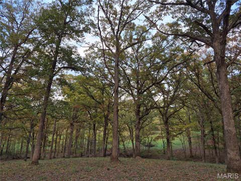 Tiny photo for 0 Highway D - Tract 5a (14+/- Acres), Eolia, MO 63344 (MLS # 26036881)