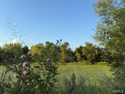 Tiny photo for 25 Cedar Cove, Winfield, MO 63389 (MLS # 26058687)