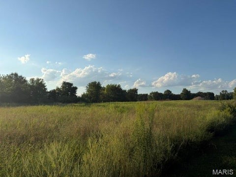 Photo of 25 Cedar Cove, Winfield, MO 63389 (MLS # 26058687)