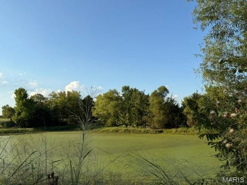 Tiny photo for 25 Cedar Cove, Winfield, MO 63389 (MLS # 26058687)