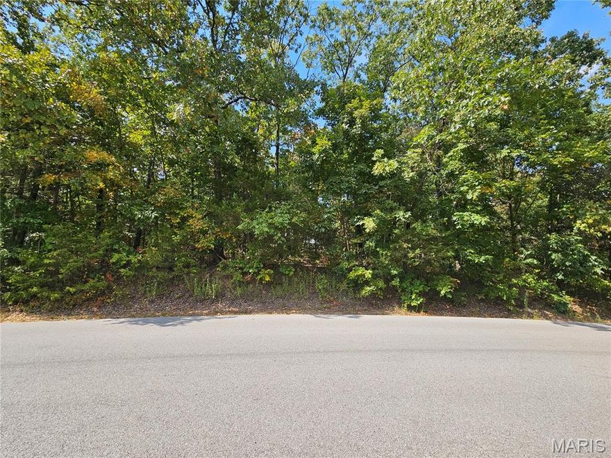 Welcome to 9761 W. Vista, in the highly desired Raintree Plantation. This lot is in a great location with many benefits! Nestled on a street surrounded by established homes with beautiful lake views between every house! This lot offers lake views across the street on each side of the property. Tucked into one of the coves, you get the views while still having the quiet atmosphere. There is a cute, bonus walking trail next to the property that someone has created, adding an extra scenic space to explore. This is a great opportunity to build a dream home in a premium area of this gated and private neighborhood! Enjoy access to the private lake, beach, golf course, clubhouse, yearly activities, and amenities this neighborhood has to offer! Please reach out to the Raintree office to obtain a copy of the rules/indentures/land usage rights. Buyer to verify schools for accuracy. Buyer to get survey to determine exact boundary lines. This lot is an extreme value for the neighborhood! Schedule to see this in person! 

Please note that the HOA fee is annual, but there is a secondary fee for the country club social membership. Reach out to Raintree for those membership levels and costs.