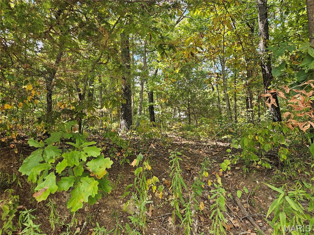 Raintree Plantation Sec 03 - Land