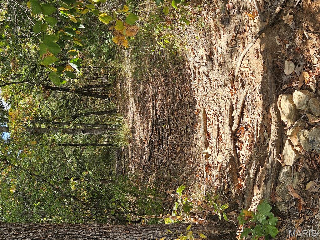 Raintree Plantation Sec 03 - Land