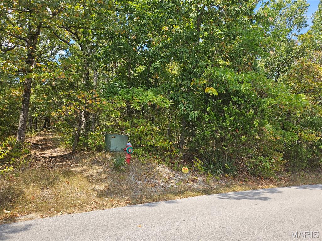 Raintree Plantation Sec 03 - Land