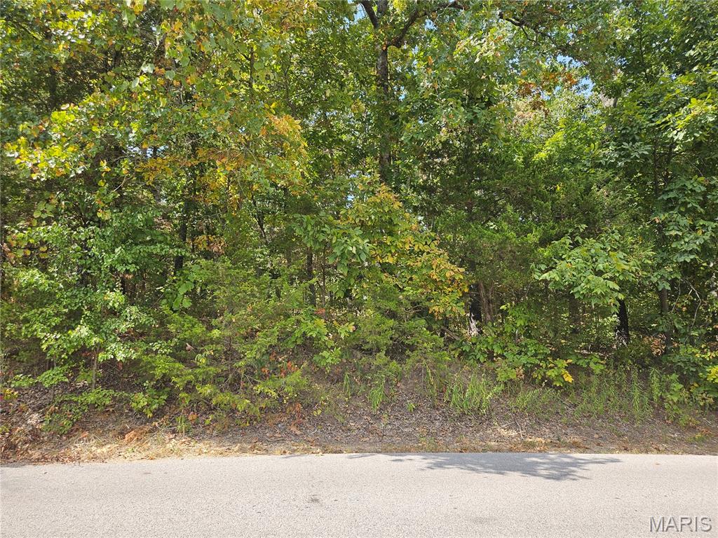 Raintree Plantation Sec 03 - Land