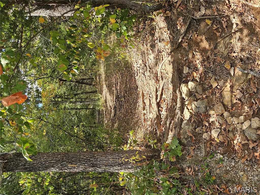 Raintree Plantation Sec 03 - Land