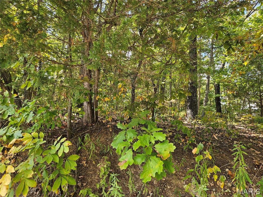 Raintree Plantation Sec 03 - Land