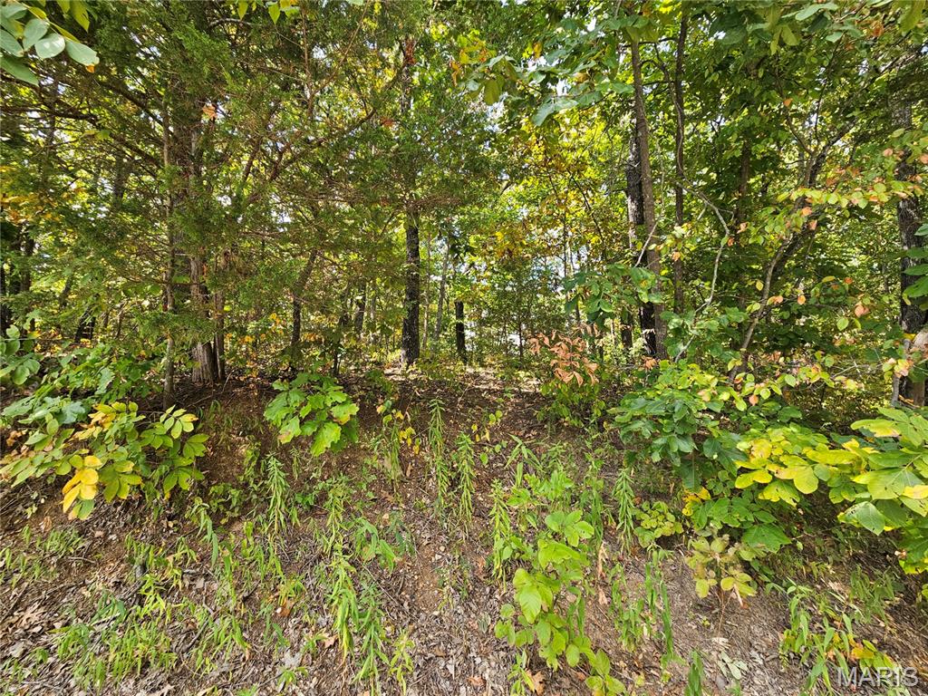 Raintree Plantation Sec 03 - Land