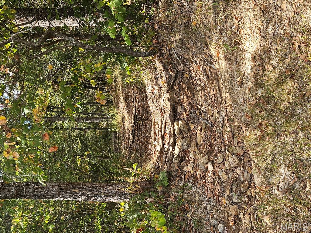 Raintree Plantation Sec 03 - Land