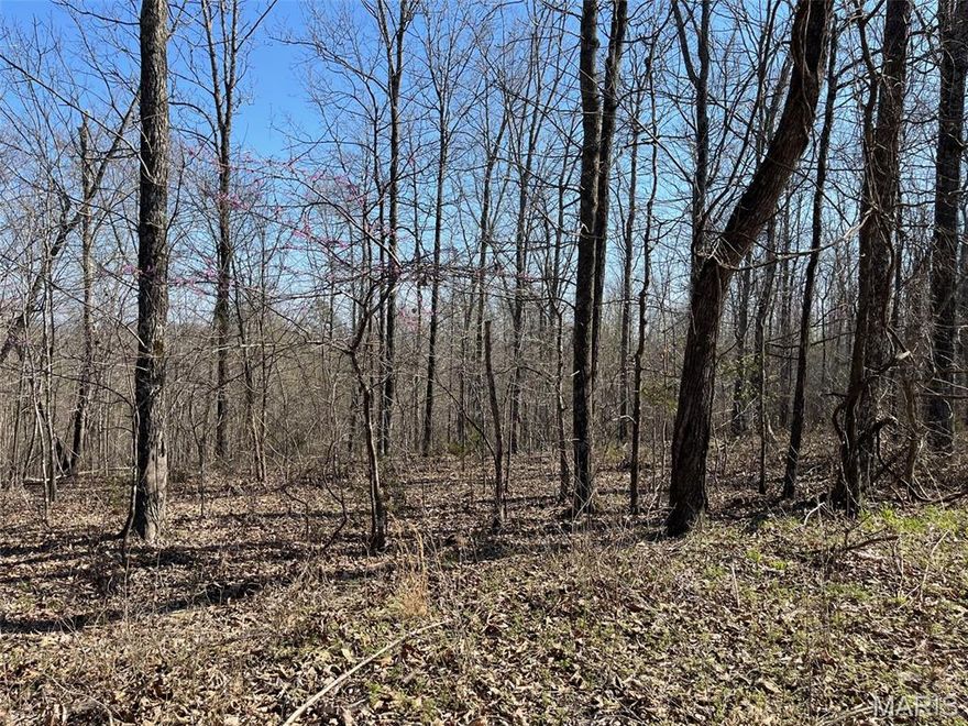 Wooded acreage for sale near Silva MO. Roughly 40+/- acres of wooded land, identified as Parcel #3, previously was used as a hunting/recreational lease. Acreage is on both sides of the county road. Electric is available. Some marketable trees. This property is part of a bigger parcel that is in the process of being surveyed off. Legal description and tax amount will be determined at that time. Additional acreage is available. Call for more information.