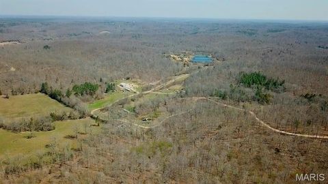 Parcel #3 Lake Road Silva MO 63964