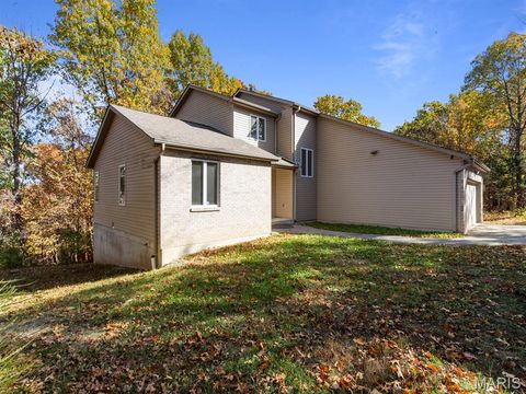 6590 Tower Road House Springs MO 63051