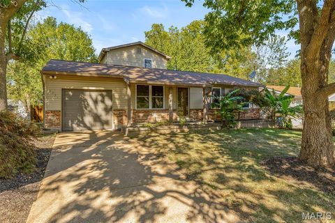 3731 Saint Kevin Park Drive St Ann MO 63074