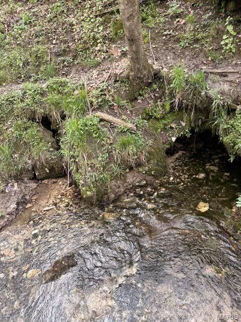 Tiny photo for 45 Blue Springs Circle, Elkland, MO 65644 (MLS # 26030215)