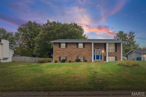 908 Long Branch Road Troy IL 62294