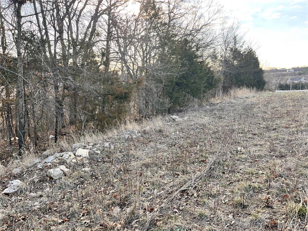 3513 Butler Valley Drive