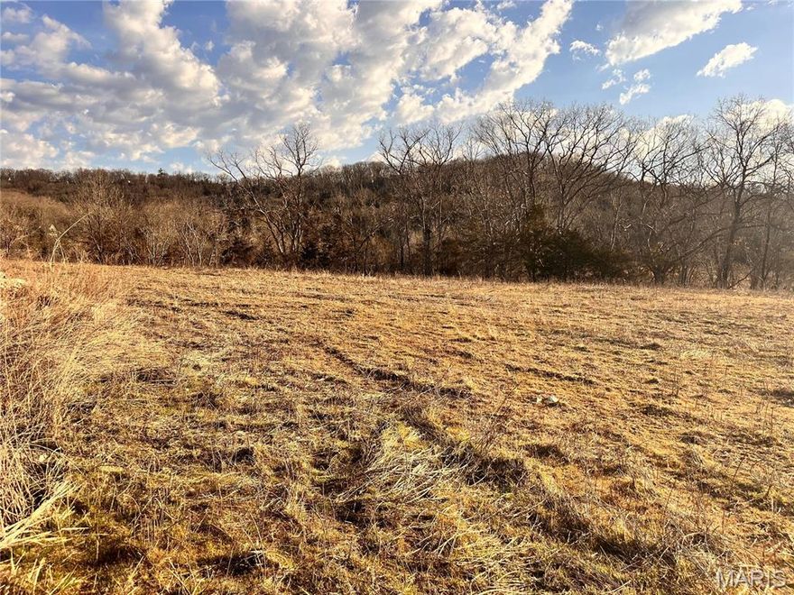 Mostly cleared 1 ACRE lot in Antonia!  Dry Fork Meadows Subdivision. Bring your own builder, construct on your own timeline. Public sewer & water available, underground electric & internet, asphalt roads, street lights. This sale includes only a portion of tax ID: 08-2.0-09.0-0-000-075.18.  Parcel was originally two lots, and now one lot - originally lot 16 - is being sold.