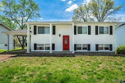 Photo of 28 James Court, Ballwin, MO 63021 (MLS # 26020192)