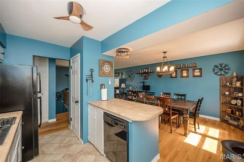 Tiny photo for 28 James Court, Ballwin, MO 63021 (MLS # 26020192)