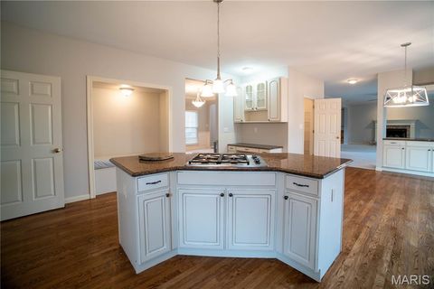 Tiny photo for 570 Castle Ridge Drive, Ballwin, MO 63021 (MLS # 25070222)