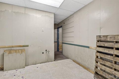 Tiny photo for 303 5th Street, Park Hills, MO 63601 (MLS # 26030291)
