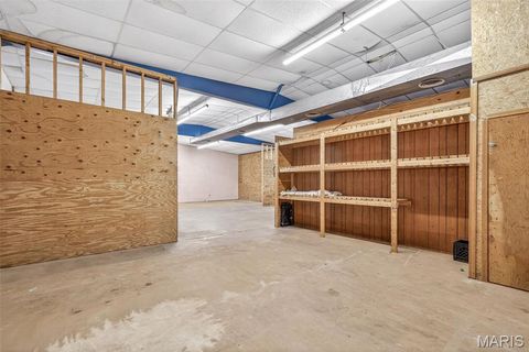 Tiny photo for 303 5th Street, Park Hills, MO 63601 (MLS # 26030291)