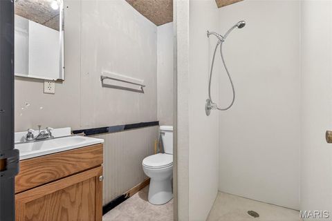 Tiny photo for 303 5th Street, Park Hills, MO 63601 (MLS # 26030291)